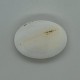 Mother Of Pearl 7.2 Ct Certified Mother Of Pearl 7.2 Ct Certified